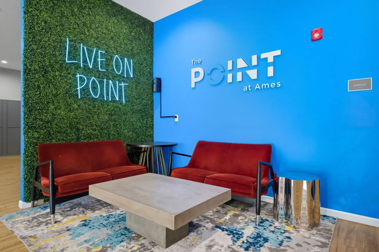 46 web or mls IMG 0251 (2)